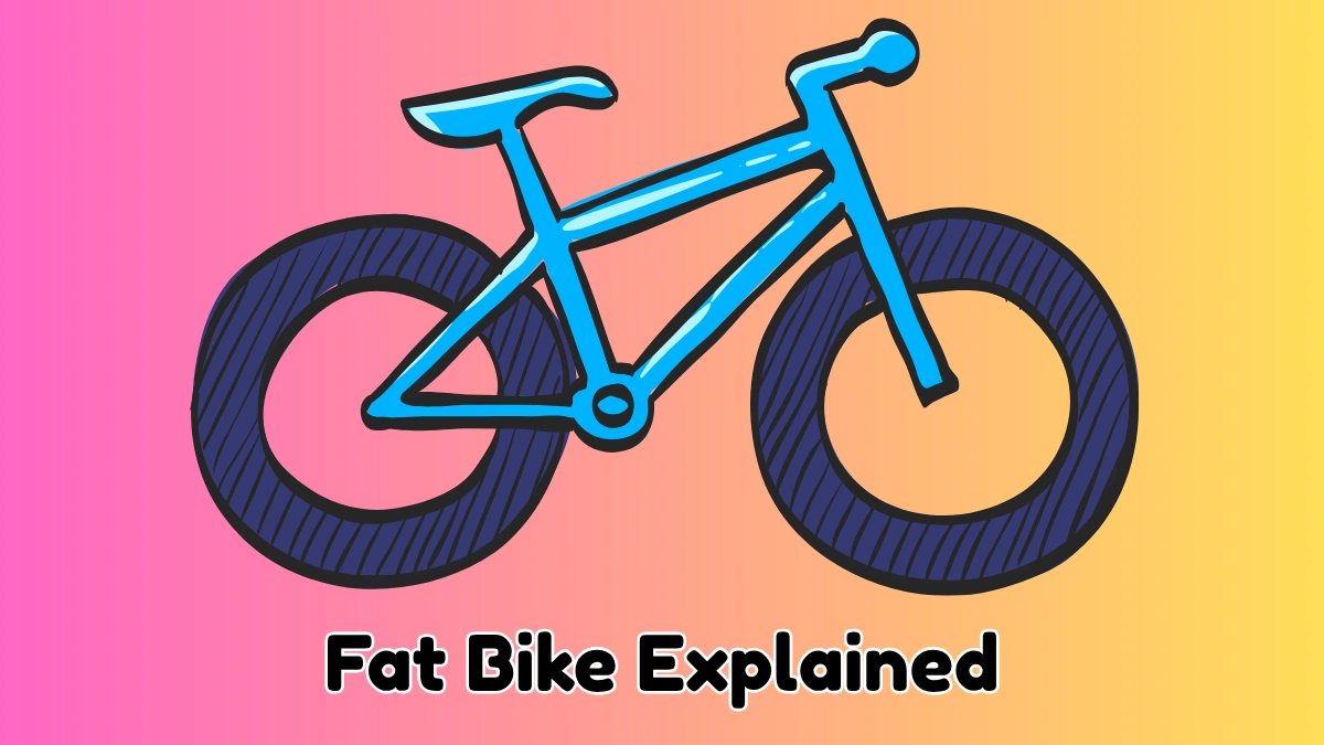 Best Fat Bikes for Snow Riding in India