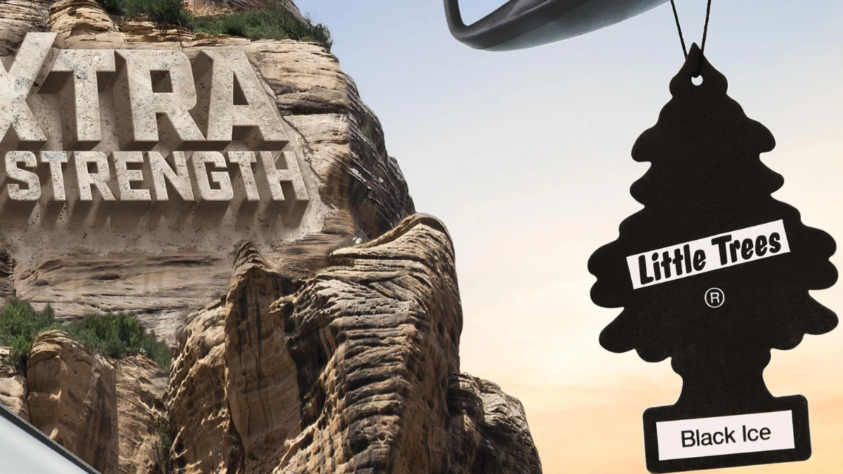 Little Trees | The Original Car Air Fresheners